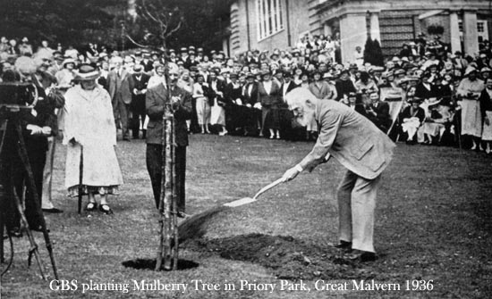 SHAW PLANTING IN 1936