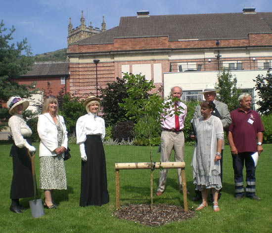 Sapling planted in Priory Park